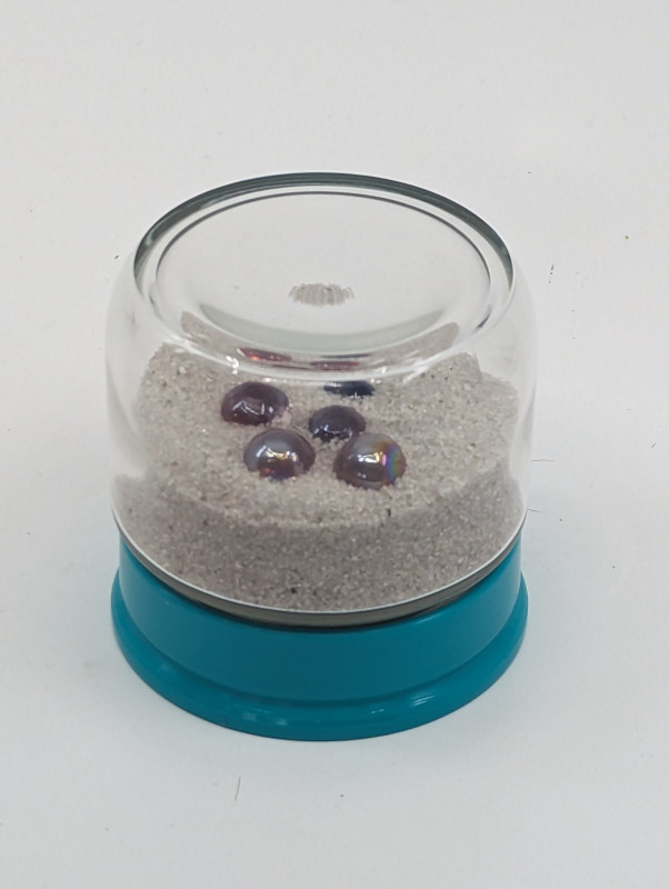 Flower on the Desert - Toyo