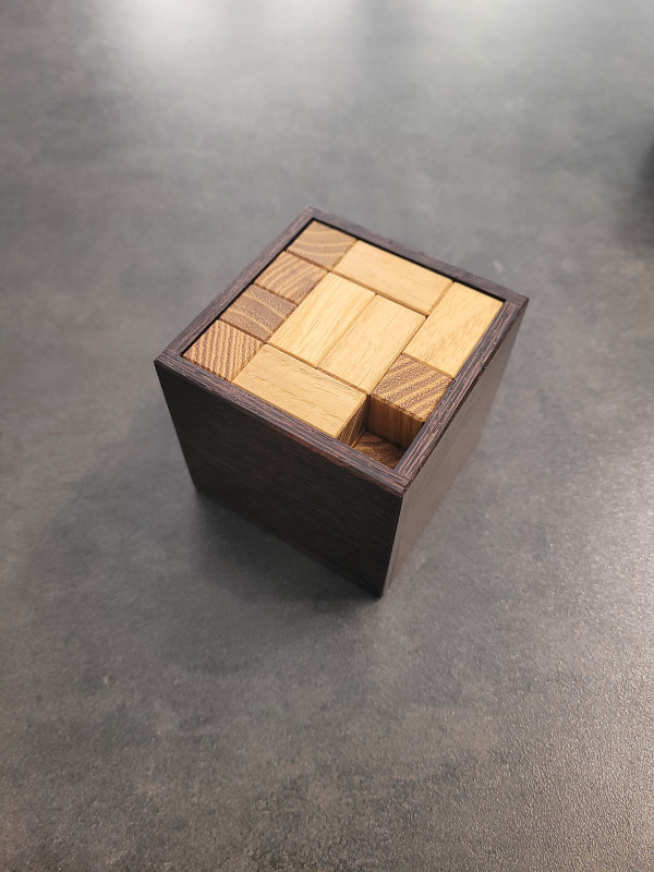 Soma Squartata - Dr. Volker Latussek