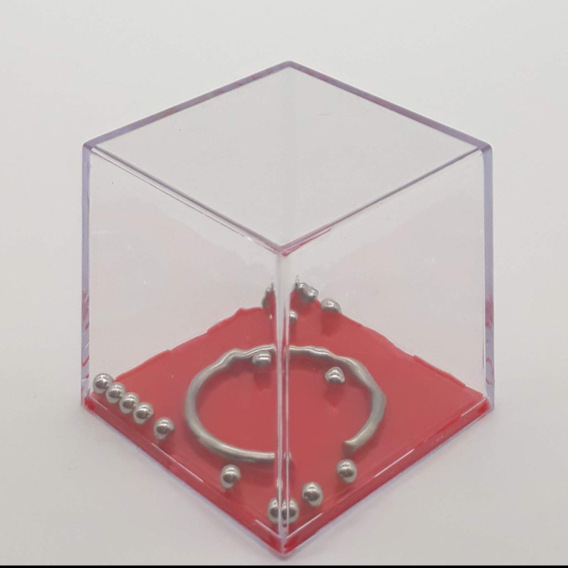Dexterity Cube 16B1R