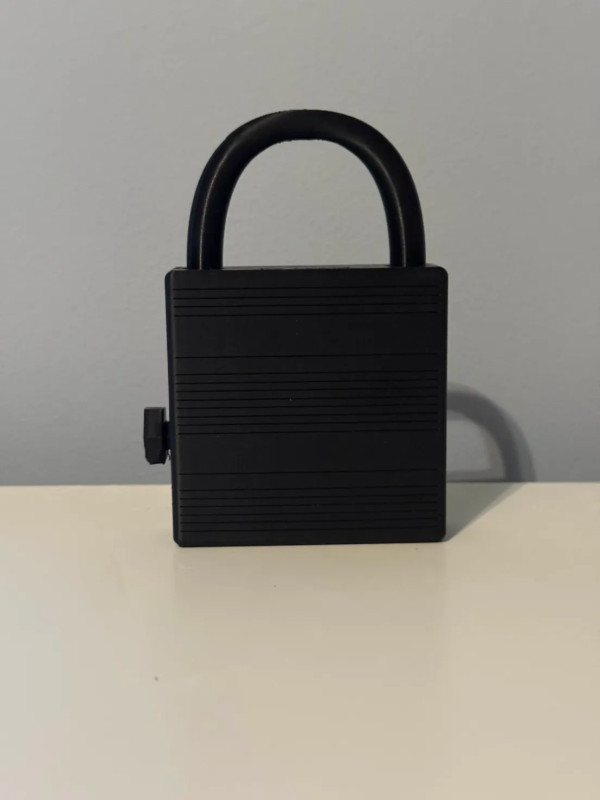 KEYLESS - Print in Place Puzzle Lock - unknown