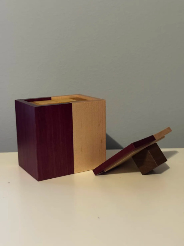 Bicolor - 1365 - Koichi Miura