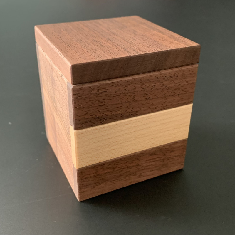 King Trumpet Mushroom - Kotoya Hasebe