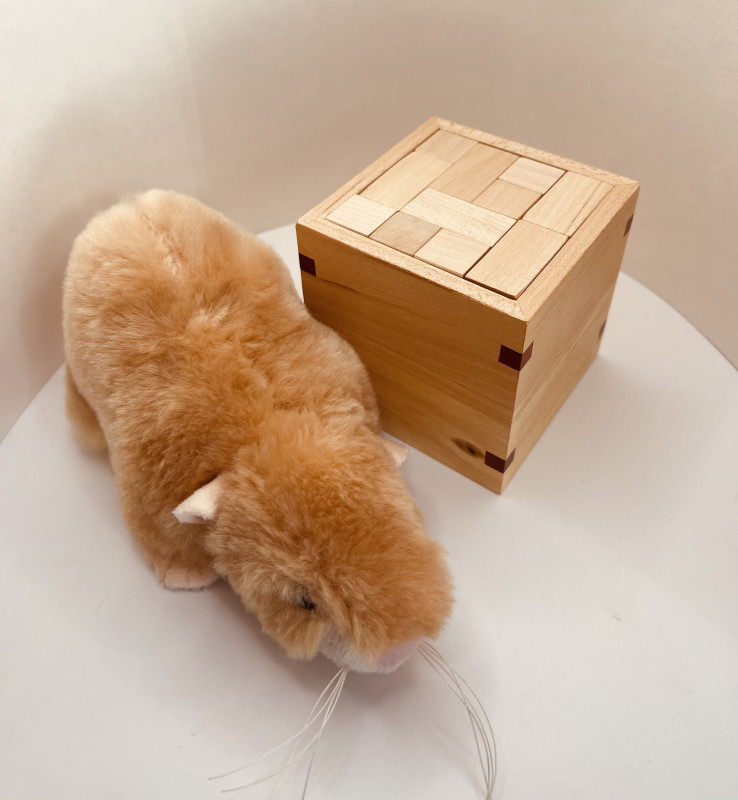 11 F-Pentominoes  - unknown