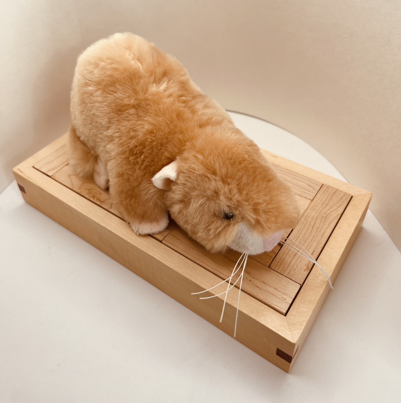 10 Y-Pentominoes  - unknown