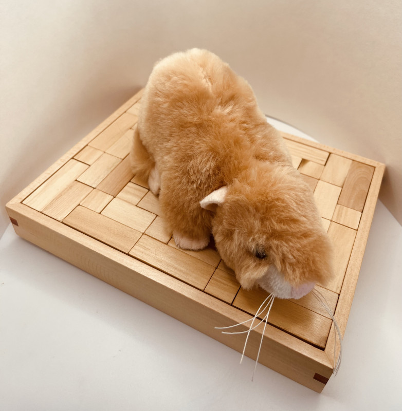 Hexomino Box Packing - David Klarner