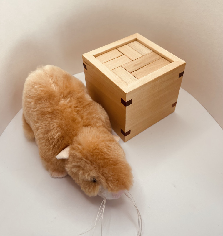 Hide The Worm - George Bell