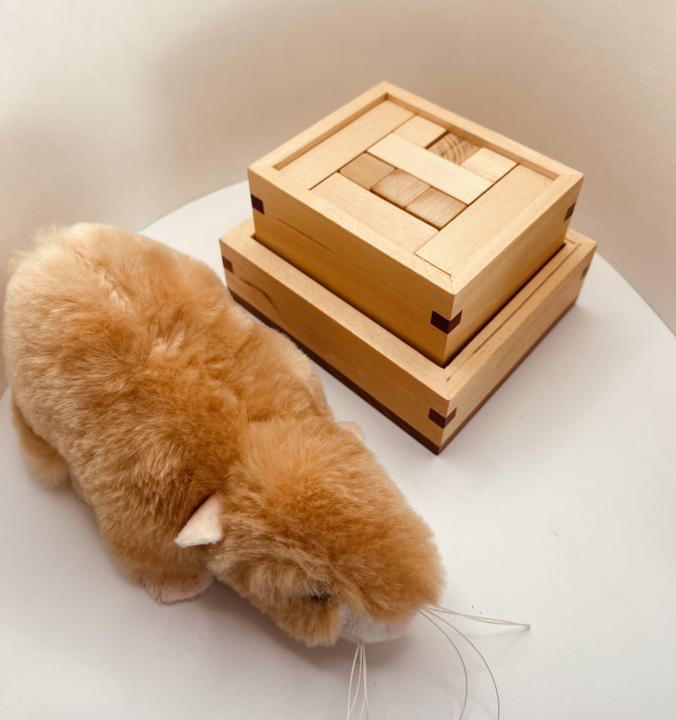 Pentomino Box Packing - unknown