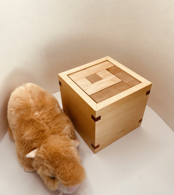 Holey Squares Cube - Trevor Wood