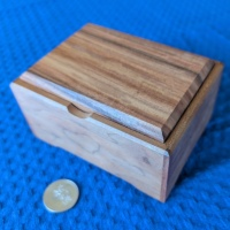 Beginnings (Prototype) - Dee Dixon