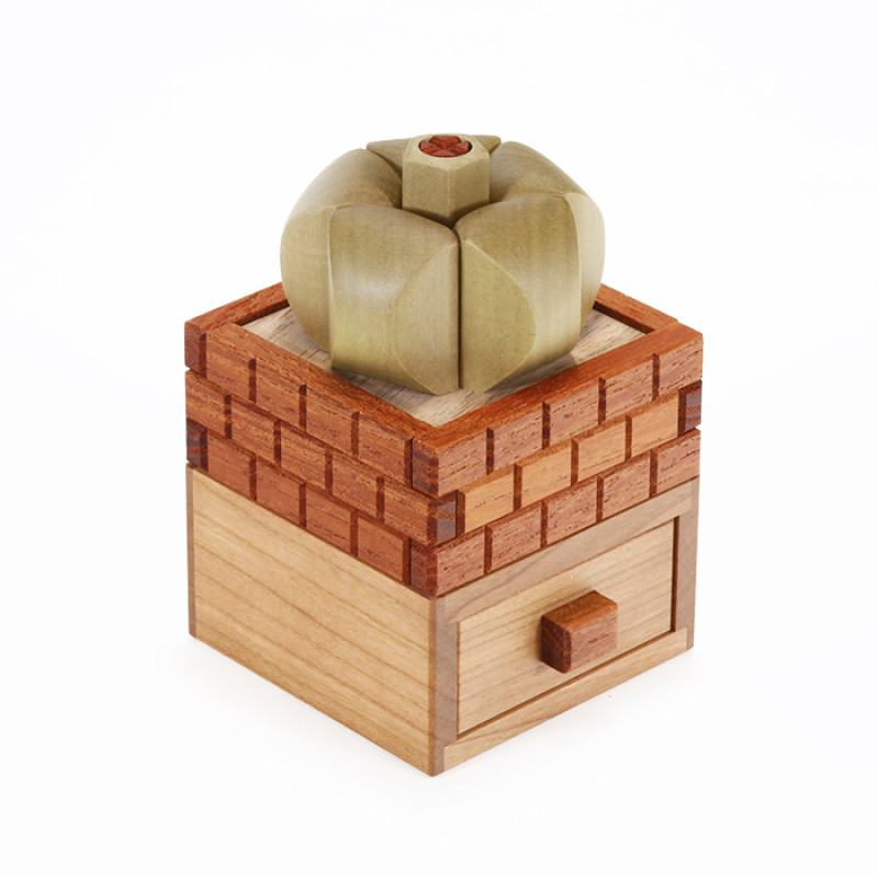 Succulents - Yasuaki Kikuchi