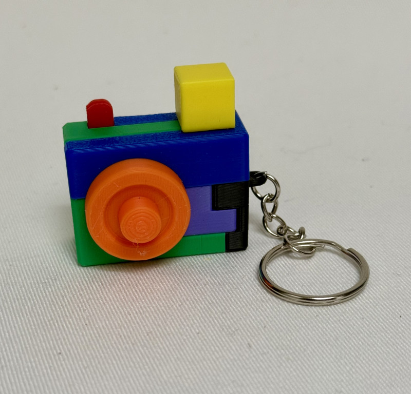 Camera Conundrum Keychain - William Waite