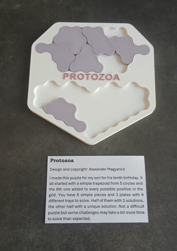 Protozoa - Alexander Magyarics