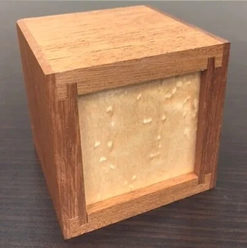 Cam Box - Eric Fuller